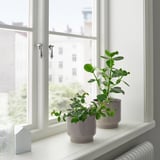 Deux pots en céramique HONUNGSPALM gris-beige sur un rebord de fenêtre blanc, contenant de petites plantes à feuilles vertes, avec une vue sur la ville derrière.