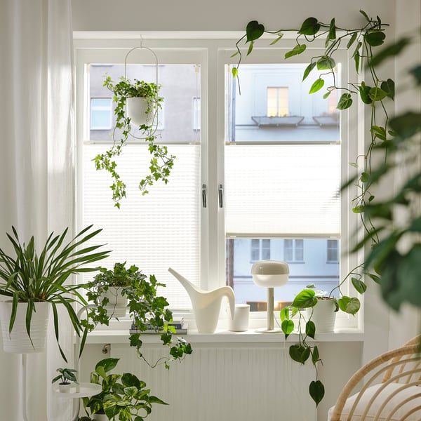 Fenêtre avec plantes et store, lampe, décor blanc.