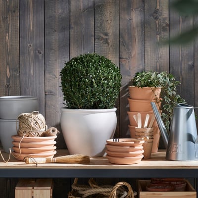 Outils de jardin, topiaire en pot, piles en terre cuite, arrosoir.