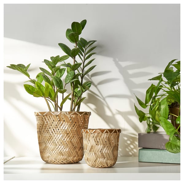 Deux jardinières en osier, l’une plus grande que l’autre, avec des plantes d’un vert luxuriant. Design en bambou tissé, posé sur une étagère blanche.