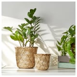 Deux jardinières en osier, l’une plus grande que l’autre, avec des plantes d’un vert luxuriant. Design en bambou tissé, posé sur une étagère blanche.