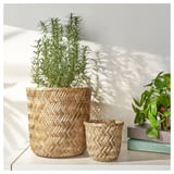 Deux jardinières en osier, l’une grande, petite, contenant des plantes vertes, posées sur une étagère blanche avec un livre.