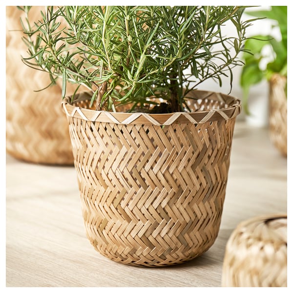 Panier à plantes en bambou tissé à la main, couleur naturelle, forme cylindrique, motif en zigzag complexe, contient une plante verte.