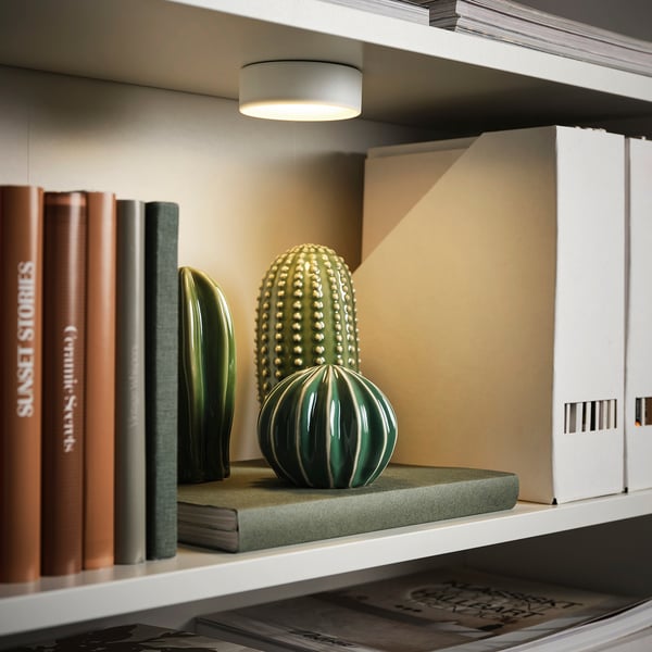 Une étagère éclairée avec une lampe KÖLVATTEN mettant en valeur des sculptures de cactus décoratifs verts et des livres.