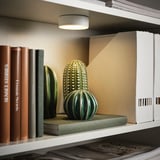 Une étagère éclairée avec une lampe KÖLVATTEN mettant en valeur des sculptures de cactus décoratifs verts et des livres.