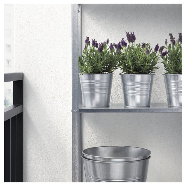 Étagère en métal contenant trois plants de lavande en pot, ajoutant de la verdure et du parfum à l’espace.