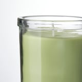 Bougie vert vif en verre transparent, éclairant la pièce avec un parfum de pomme croquant.