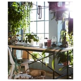 Chambre lumineuse et ensoleillée avec un bureau en bois près d’une grande fenêtre. Le bureau contient des plantes, une cafetière et des livres. Panier tressé et chaise blanche à proximité.