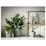 Trois plantes en pot sur une étagère blanche ; deux verts luxuriants dans des pots gris, une branche nue en blanc ; design minimaliste.