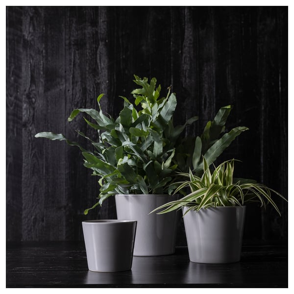 Trois pots de fleurs en grès gris avec des plantes vertes. Deux plus grands, un plus petit. Design épuré et simple.