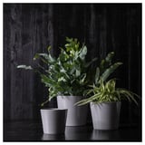 Trois pots de fleurs en grès gris avec des plantes vertes. Deux plus grands, un plus petit. Design épuré et simple.