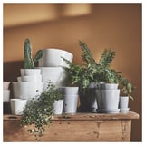 L’étagère en bois contient des plantes en pot variées contre un mur brun, avec des cactus verts et des plantes feuillues dans des pots blancs/gris.