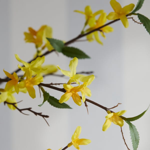 SMYCKA Branche artificielle, intérieur/extérieur/forsythia jaune, 70 cm