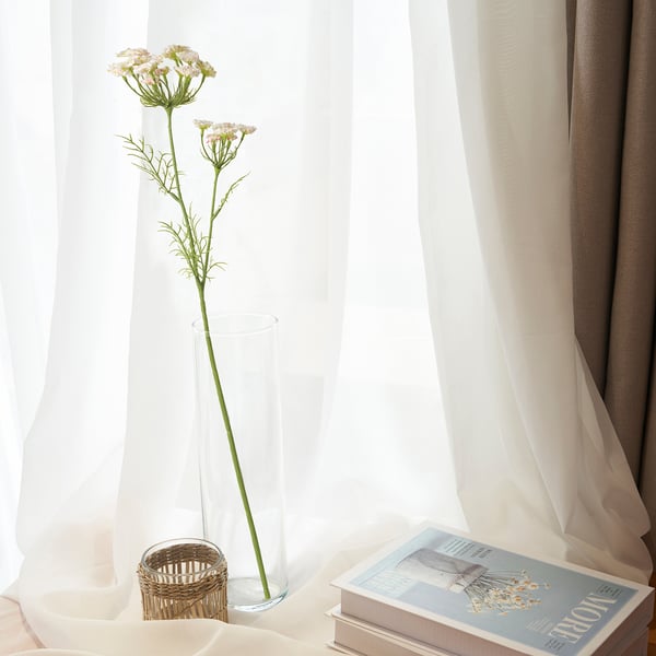 Vase transparent avec fleur blanche sur le rebord de la fenêtre, livre et lumière douce des rideaux.
