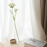 Vase transparent avec fleur blanche sur le rebord de la fenêtre, livre et lumière douce des rideaux.