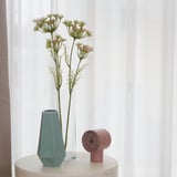 Vase, fleurs, horloge sur table.