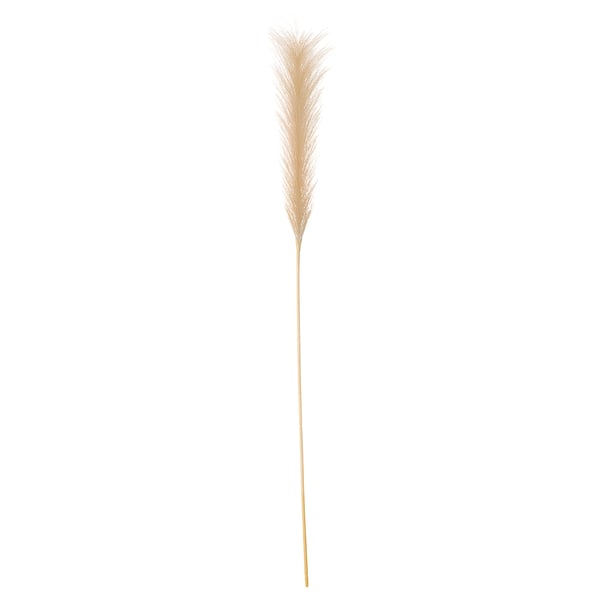 SMYCKA Fleur artificielle, herbe des pampas, 86 cm - IKEA Belgique