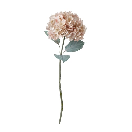 SMYCKA Fleur artificielle, intérieur/extérieur hydrangea/beige clair, 75 cm