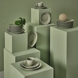 Service en porcelaine verte STRIMMIG avec assiettes circulaires et tasses, plante incluse. Design moderne et détaillé.