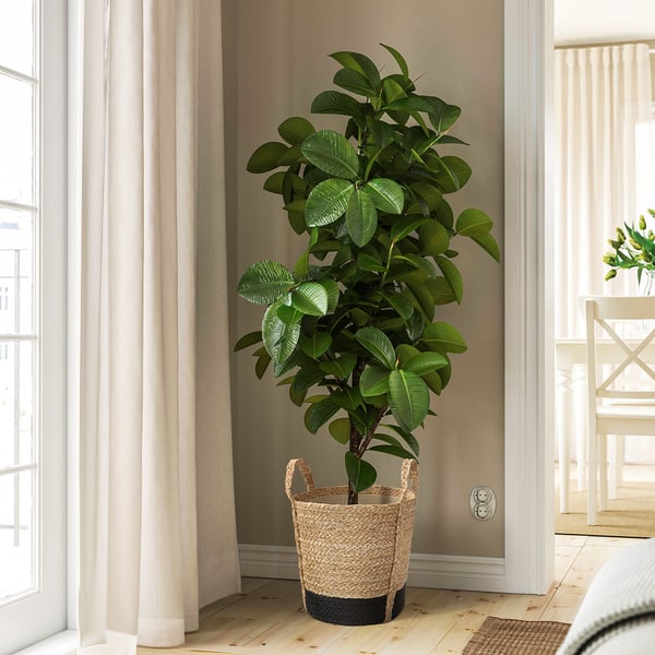 Le pot de fleurs en coton de jute TÄRNMÅS peut contenir une grande plante d’intérieur, imperméable, neutre, facile à déplacer.