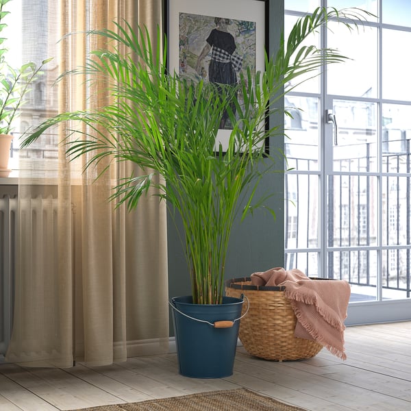 Planten in groenblauwe ÅKERBÄR-potten bij een raam, met een mand met een deken.