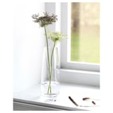 Heldere glazen vaas met twee bloemen bij raam. Eenvoudig, elegant ontwerp.