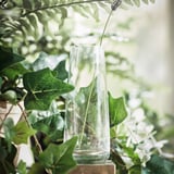 Heldere glazen vaas met een enkele witte bloem, omgeven door groene bladeren.