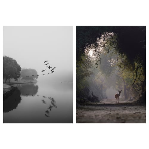 Twee serene natuurtaferelen: ganzen die bij zonsopgang over een kalm meer vliegen en herten die in een mistig bos staan.