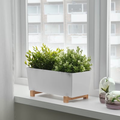 Witte plantenbak op houten tribune door venster met groene installatie. Verbetert de inrichting van de keuken en tilt planten op voor een beter zicht.