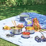 Picknickopstelling op gras met roestvrijstalen kommen met voedsel, gerangschikt op een dekbed met een draagbare luidspreker.
