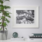 Ingelijste zwart-witte vlinderkunst hing aan een muur met een stapel boeken en een potplant ernaast.