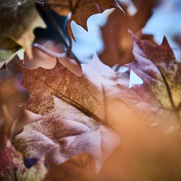 FEJKA Kunstplant, binnen/buiten/esdoorn oranje-bruin, 19 cm
