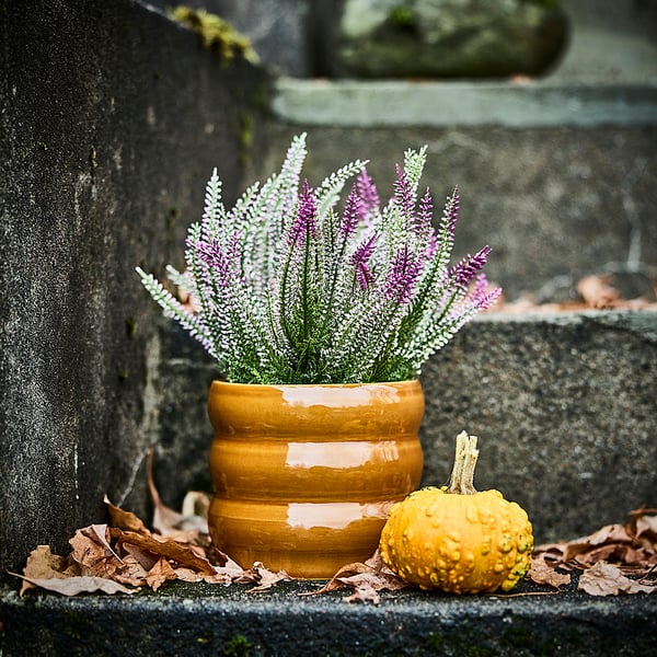 FEJKA Kunstplant, binnen/buiten/heide paars, 12 cm