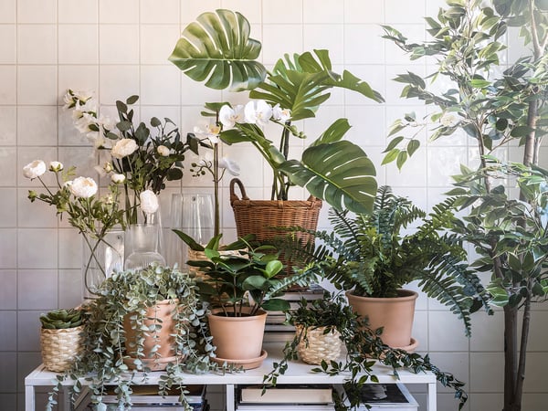 FEJKA Kunstplant, binnen/buiten monstera, 19 - IKEA België