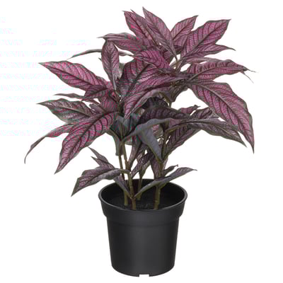 FEJKA plant: levendige paarsgroene bladeren, gepot in zwart plastic, modern design.