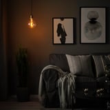 Gezellige woonkamer met donkergrijze bank, warme hanglamp en abstracte kunst aan de muur.