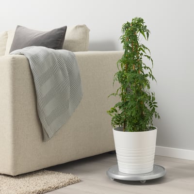 Moderne woonkamer met grote beige bank, grijze deken en hoge potplant op wielen, die natuurlijke hoogte en groen toevoegt.