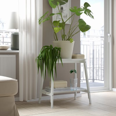 Plantstandaard in de buurt van raam met grote, lommerrijke plant en kleine blauw-vaasplant, boek, beige doos.