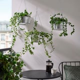 KORKGRAN Plantenhanger, binnen/buiten/verzinkt, 27 cm