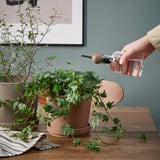 Handwaterplant met doorzichtige spuitfles, waardoor morsen wordt voorkomen.