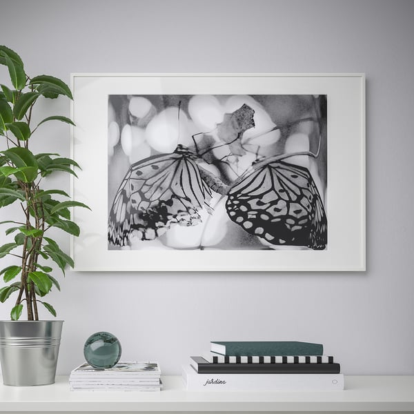 Aan een muur hangt een ingelijste zwart-witte twee vlinders. Daaronder staan een potplant, boeken en een glazen bol op een plank.