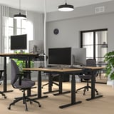 Moderne kantoorscène met MITTZON zit-sta bureaus. Lichthouten bladen, zwarte verstelbare onderstellen met wielen. Computers, stoelen en groen.