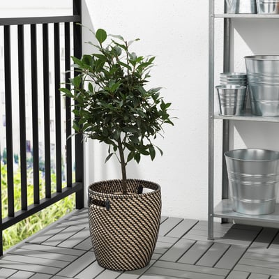 Klein balkon met een potplant in een bruin en beige gevlochten mand met handvatten. Naast een metalen rek met metalen potten.