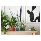 Kleine houten plank met groene keramische cactussen en potplanten. Daarachter hangen twee ingelijste cactusprints. Doorzichtige schotel bevat groene stekken.
