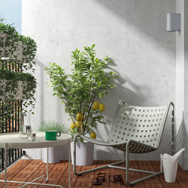 Balkon met SKOGSÖN stoel, citroenboom en accessoires.