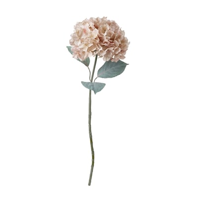 SMYCKA Kunstbloem, binnen/buiten hortensia/lichtbeige, 75 cm