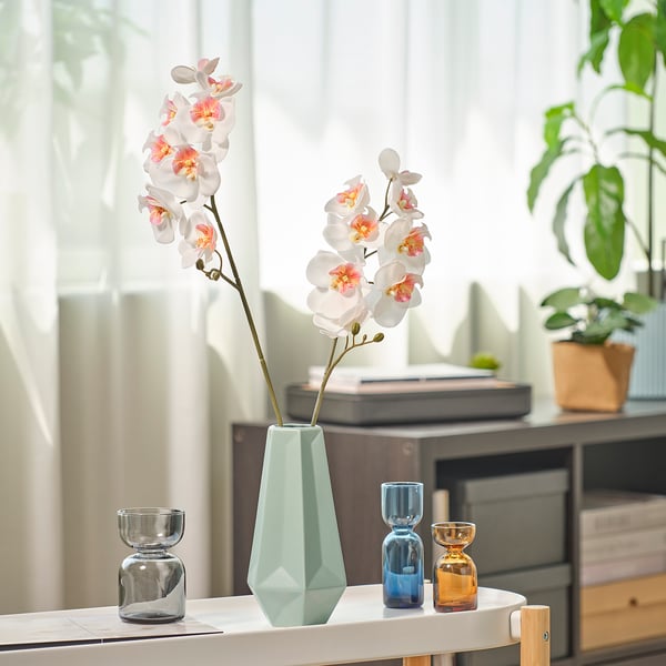 Witte orchidee in groene geometrische vaas, kleine blauw/oranje vaasjes ernaast, dichtbij raam met plant.