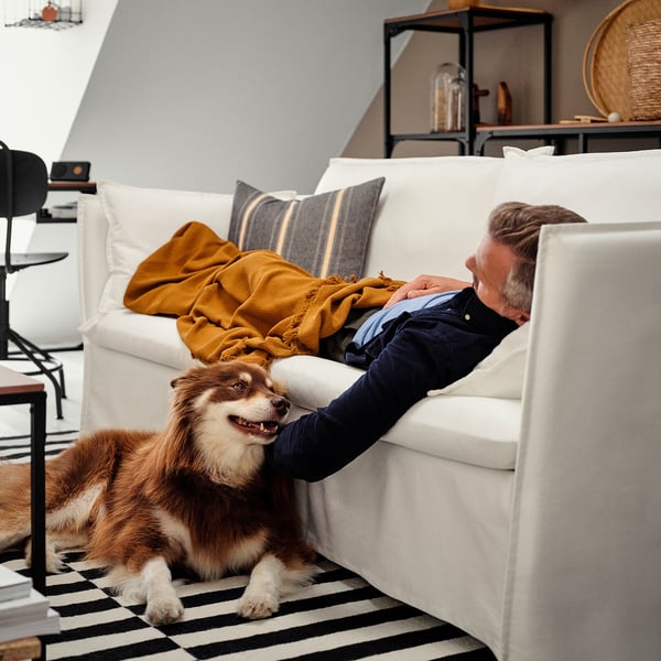 BACKSÄLEN أريكة 3 مقاعد, Blekinge أبيض