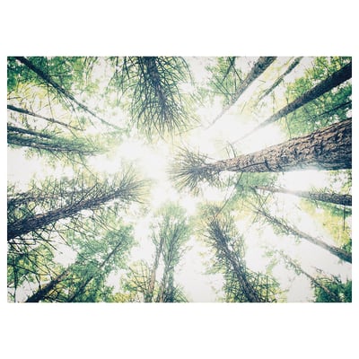 BJÖRKSTA Picture, look up, 140x100 cm