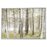 BJÖRKSTA Picture with frame, birches/aluminium-colour, 200x140 cm